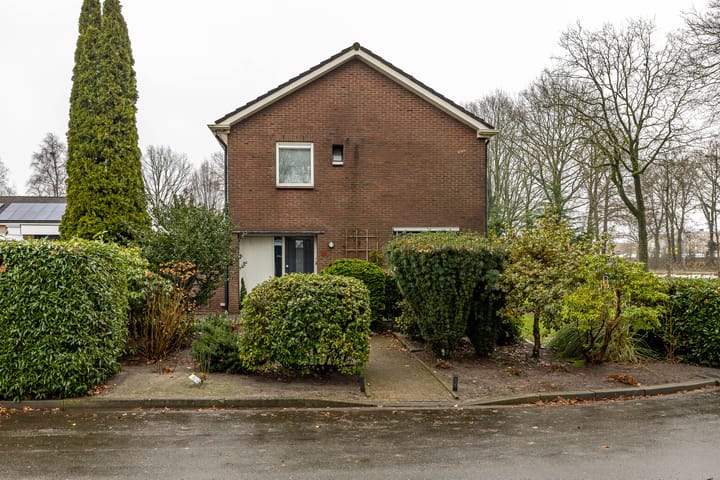 Photo 10 of Torenes 15