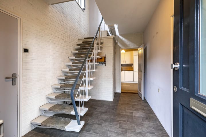 Photo 13 of Torenes 15