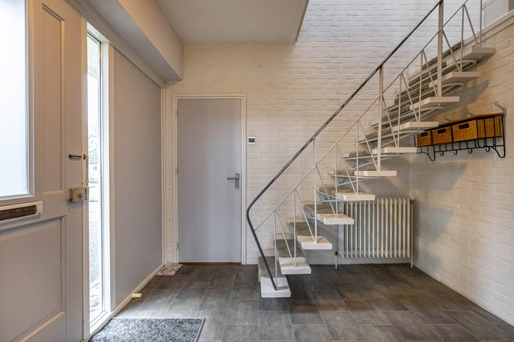 Photo 14 of Torenes 15