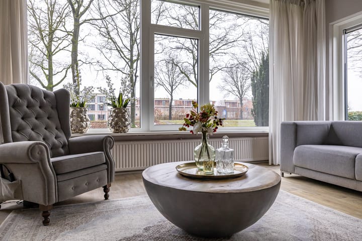 Photo 19 of Torenes 15