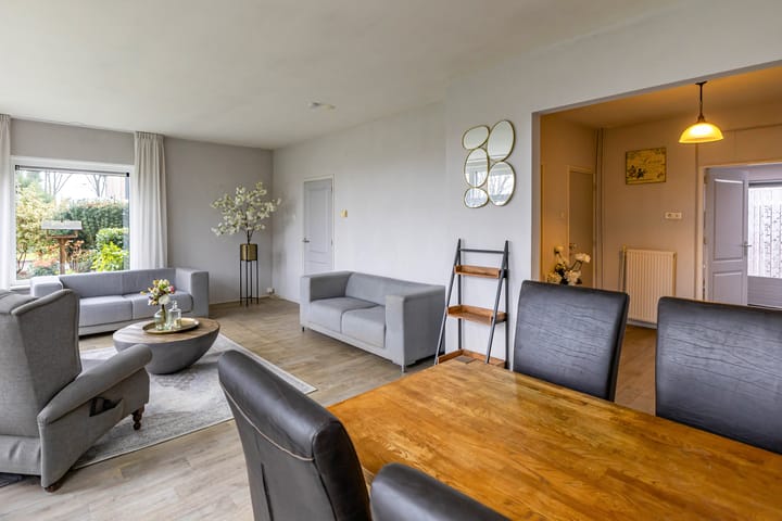 Photo 22 of Torenes 15