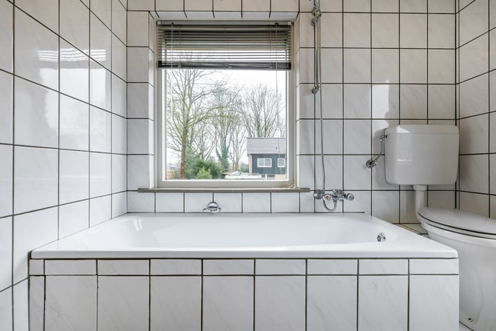 Photo 35 of Torenes 15