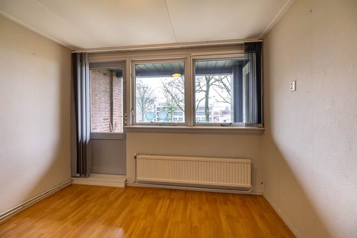 Photo 38 of Torenes 15