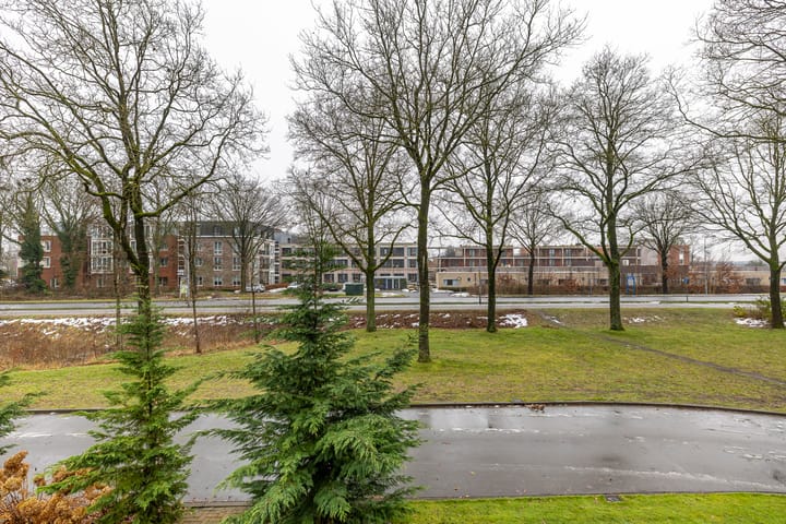 Photo 43 of Torenes 15