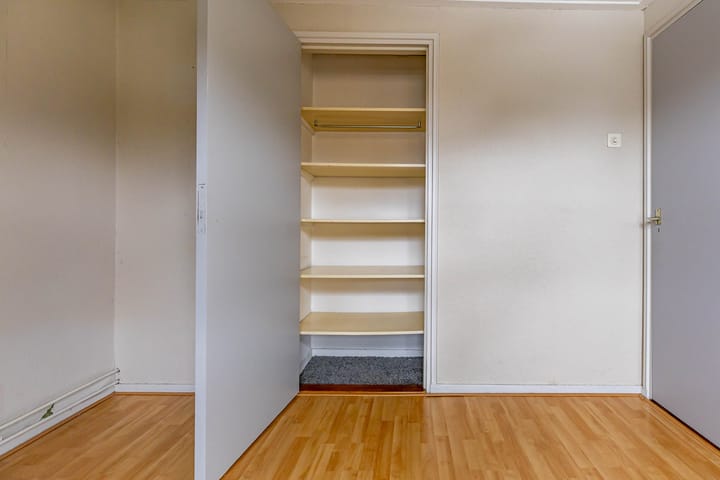 Photo 46 of Torenes 15