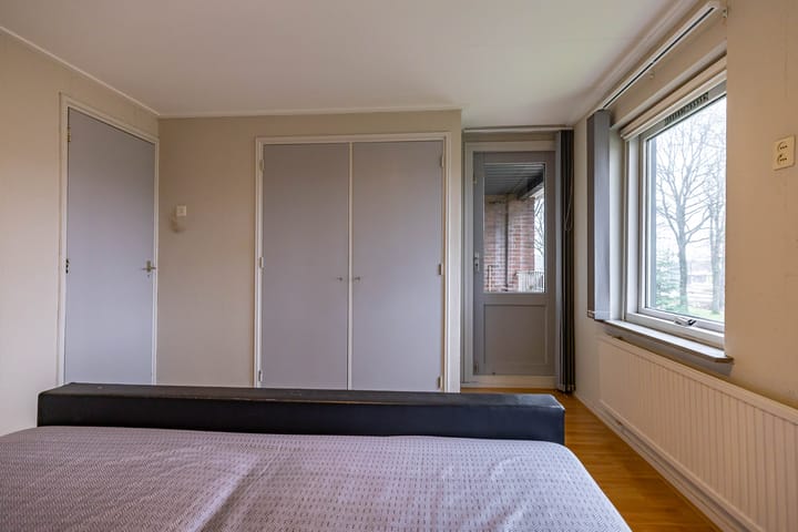 Photo 48 of Torenes 15