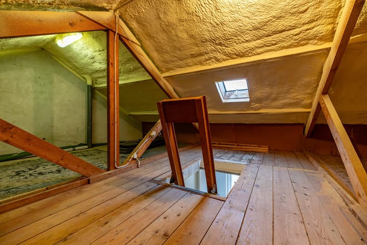 Photo 51 of Torenes 15