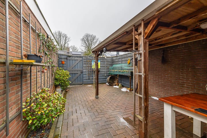 Photo 56 of Torenes 15