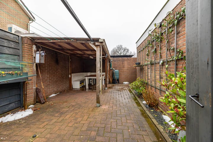 Photo 57 of Torenes 15