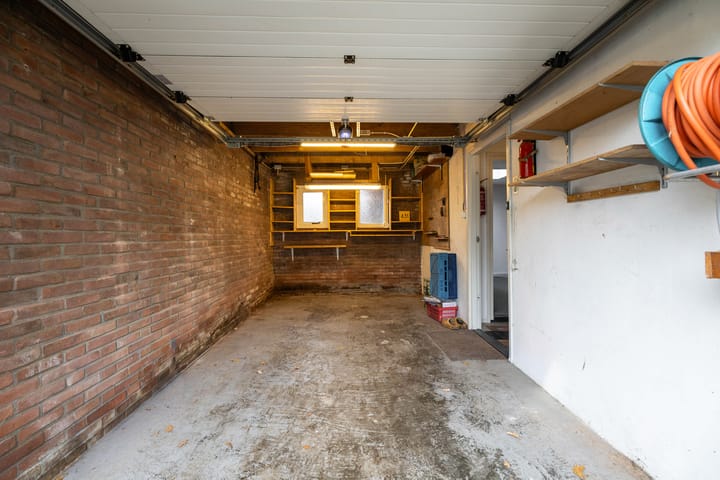 Photo 59 of Torenes 15