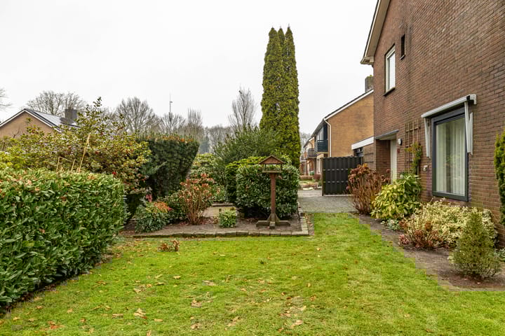 Photo 61 of Torenes 15