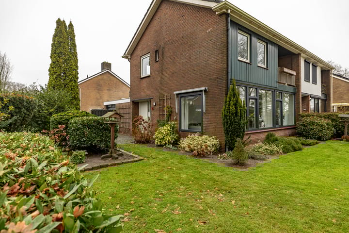 Photo 62 of Torenes 15