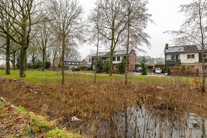 Photo 64 of Torenes 15