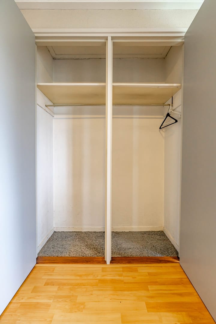 Photo 49 of Torenes 15