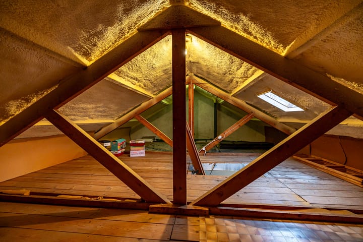 Photo 52 of Torenes 15