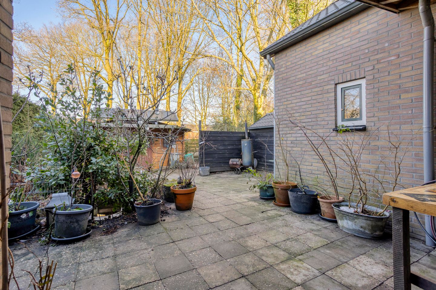 Foto 29 van Jacob Catsstraat 42