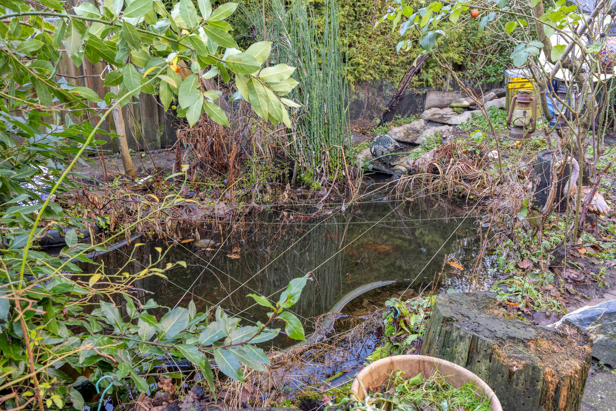 Foto 30 van Jacob Catsstraat 42