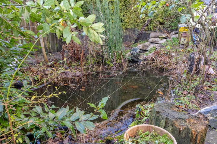 Foto 30 van Jacob Catsstraat 42