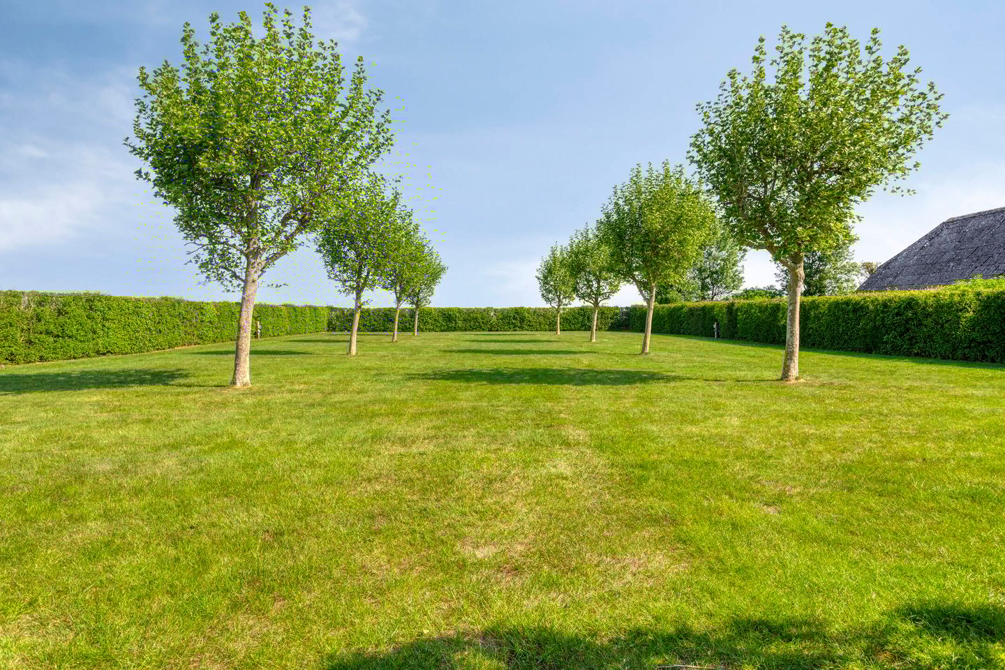 Photo 5 of Draaibrugseweg 8