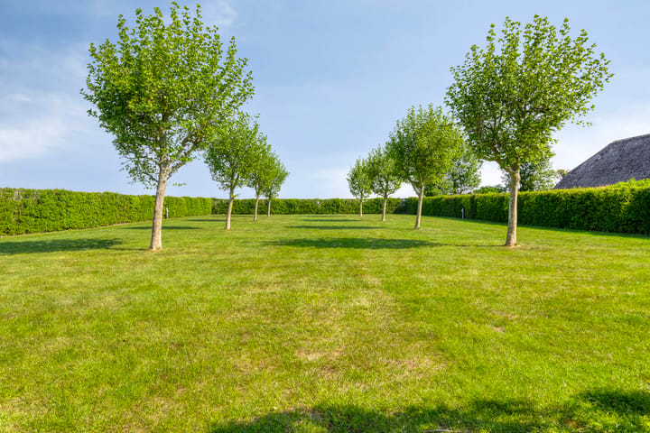 Foto 5 van Draaibrugseweg 8