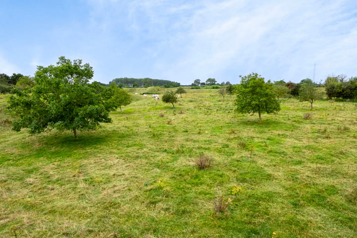 Foto 32 van Dorpsstraat 41