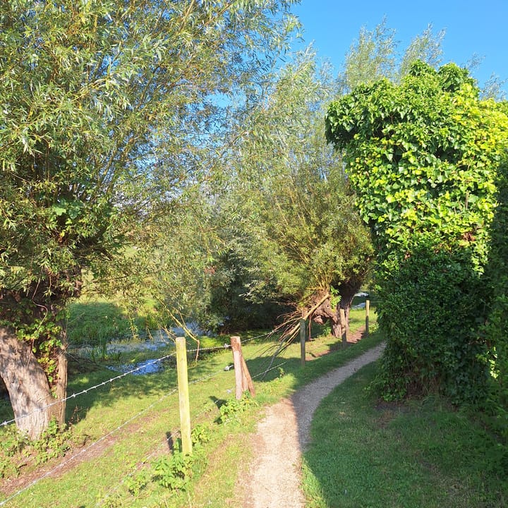 Foto 35 van Dorpsstraat 41