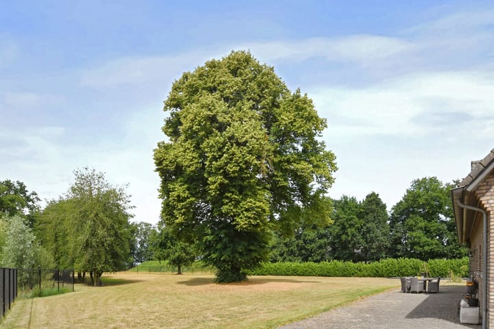 Foto 41 van Marisstraat 29