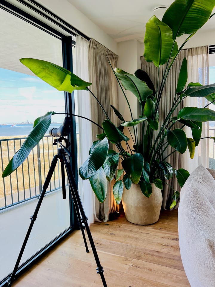 Foto 4 van Westhavendam 17-203