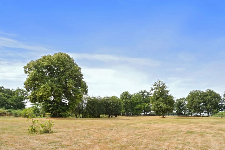 Foto 47 van Marisstraat 29