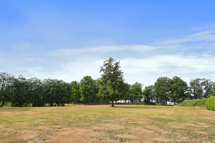 Foto 48 van Marisstraat 29