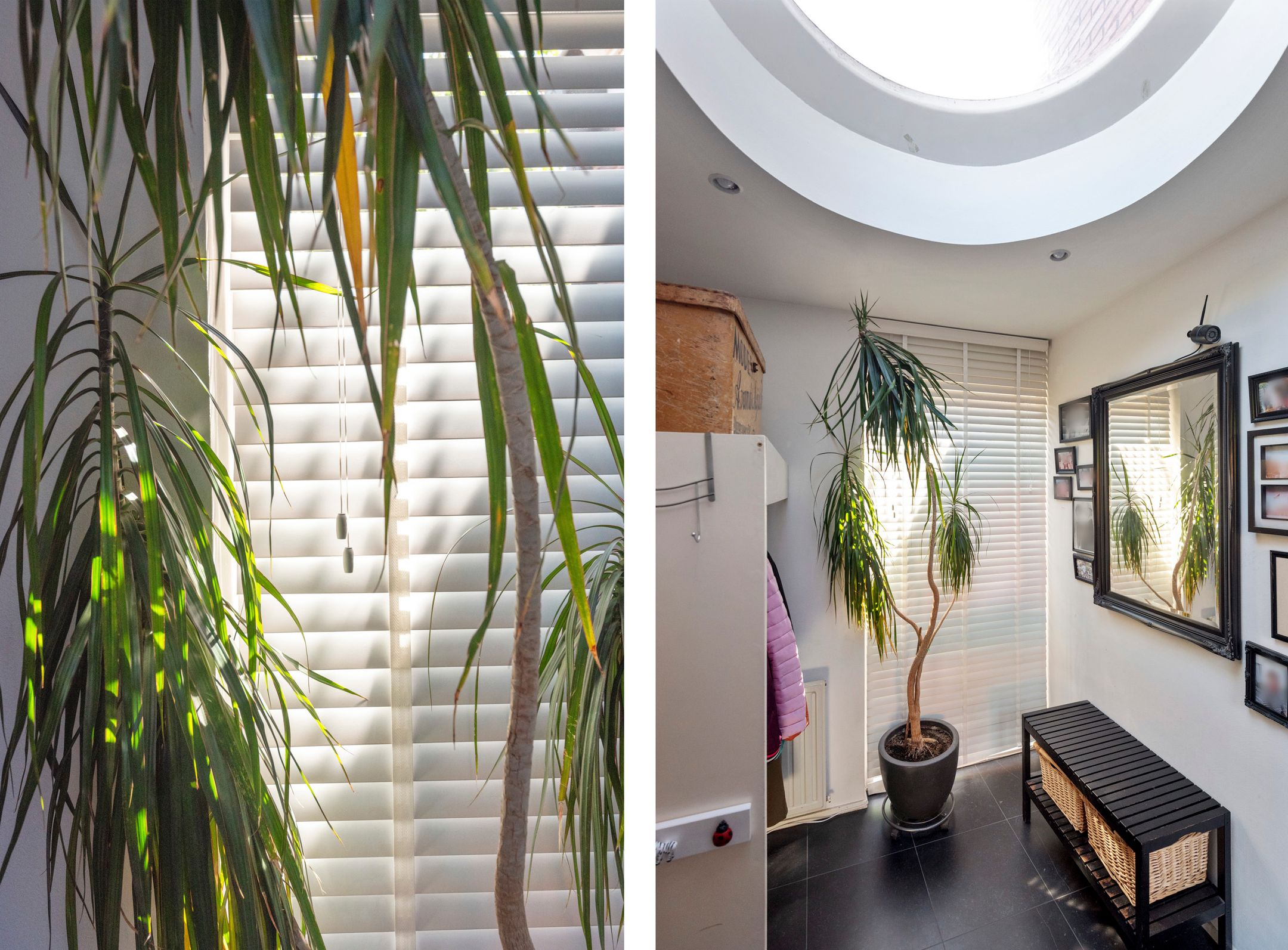 Foto 9 van Chrysanthemumlaan 11