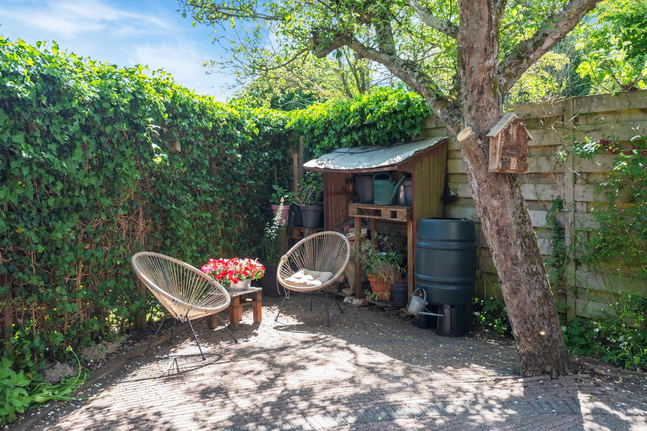 Foto 21 van Chrysanthemumlaan 11