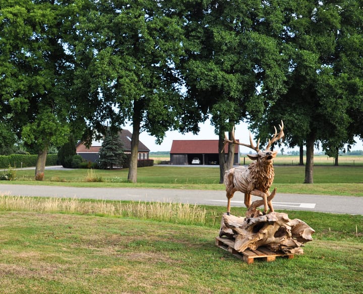 Foto 3 van Watervlietseweg 28