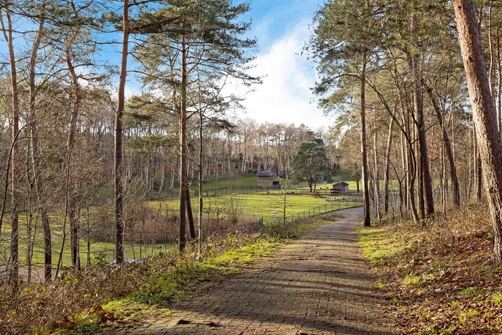 Photo 33 of Saturnushof 7