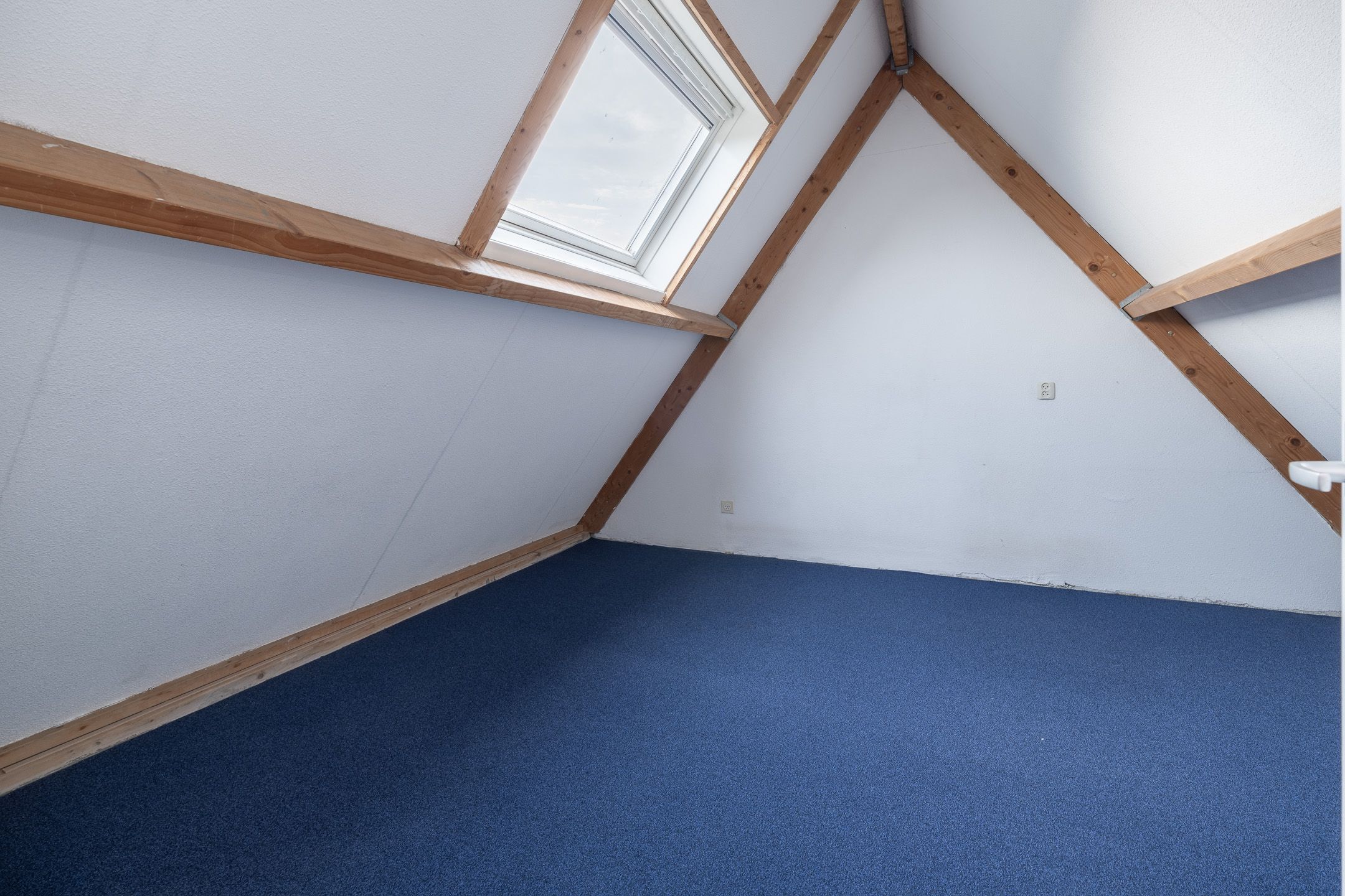 Foto 27 van Haagwinde 40