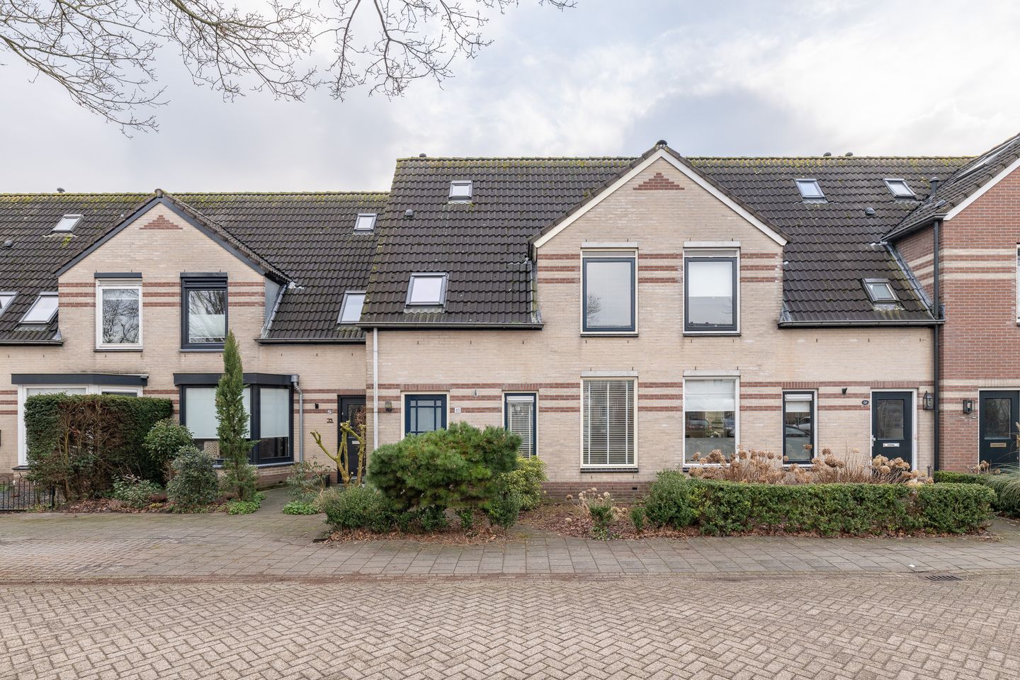 Foto 40 van Haagwinde 40