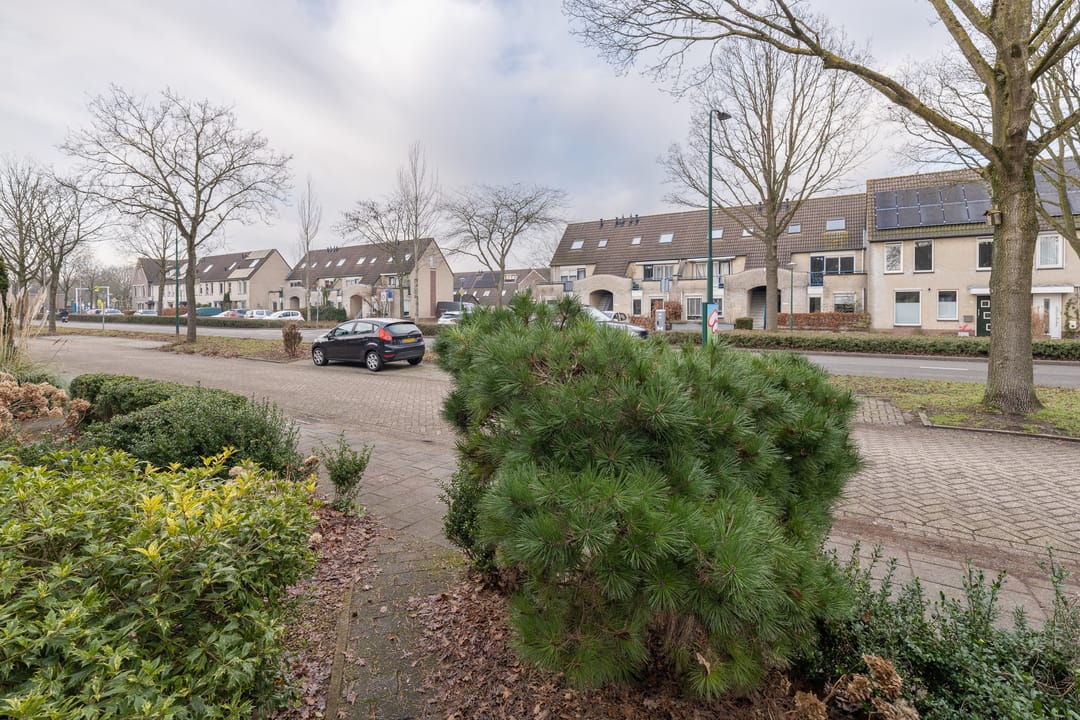 Foto 41 van Haagwinde 40