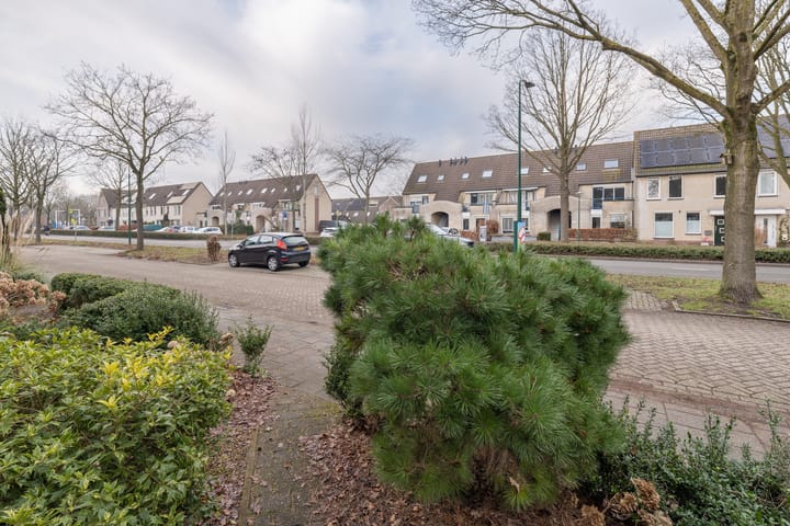 Foto 41 van Haagwinde 40