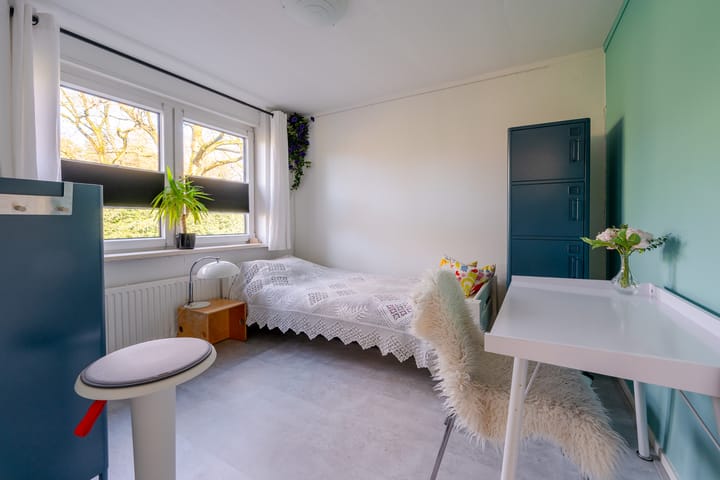 Foto 16 van Rooseveltlaan 4