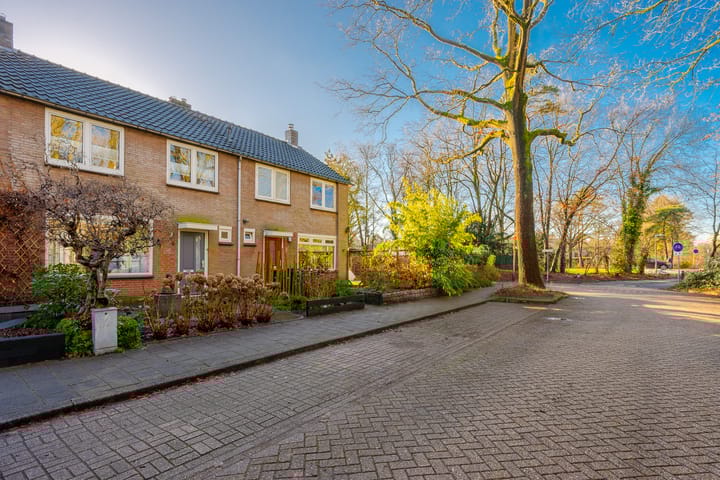 Foto 29 van Rooseveltlaan 4