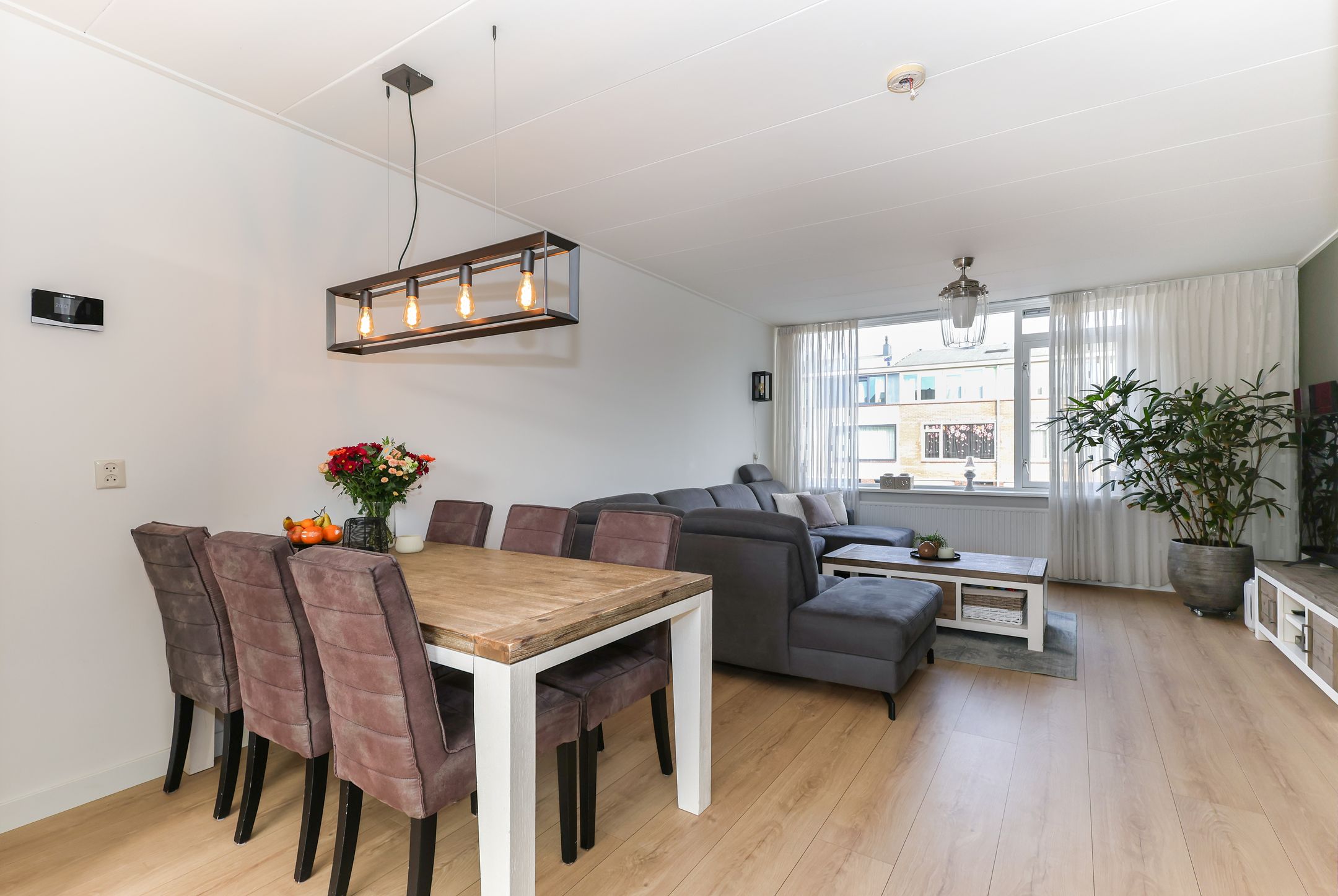 Foto 21 van Korvet 19