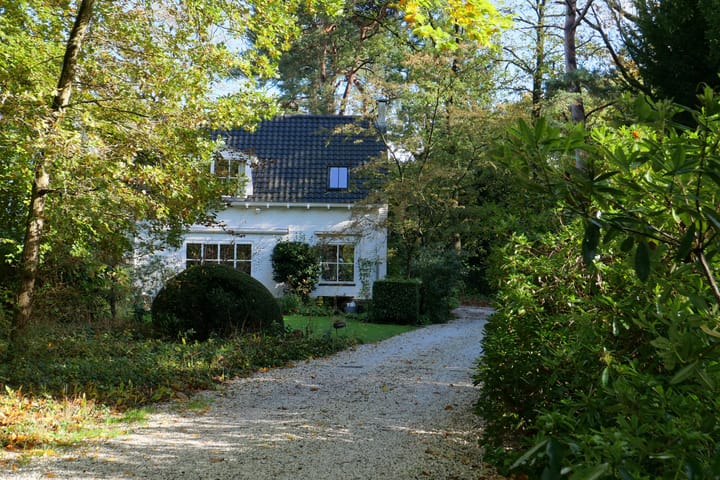 Foto 19 van Rossinilaan 12