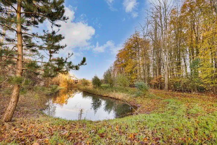 Photo 51 of Duinstraat 29