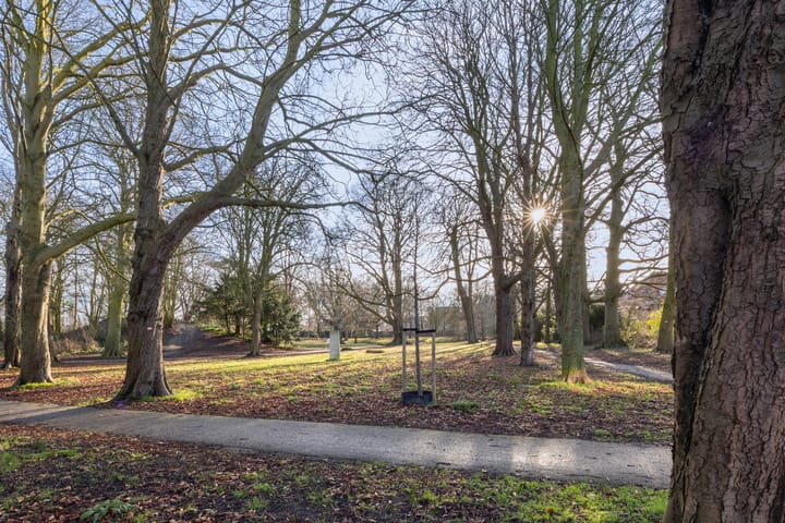 Foto 38 van Den Burghstraat 11