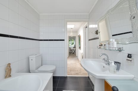 Buys Ballotsingel 65 tertiary image