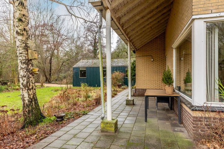 Foto 12 van Duindijk 7