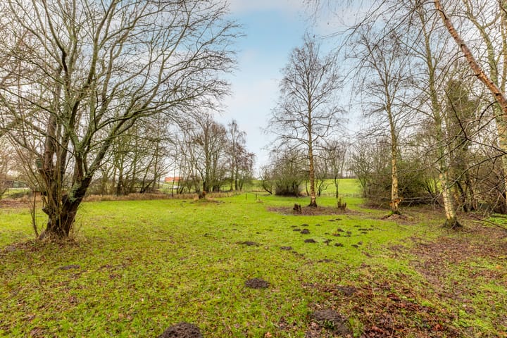 Foto 34 van Duindijk 7