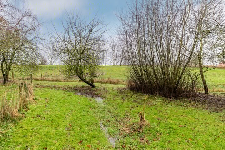 Foto 36 van Duindijk 7