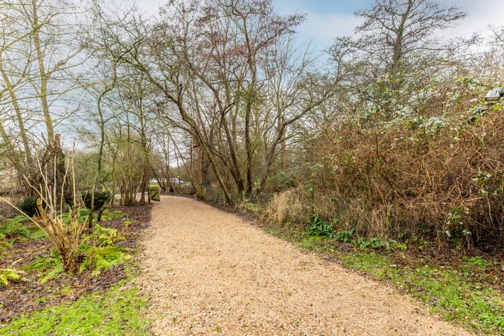 Foto 42 van Duindijk 7