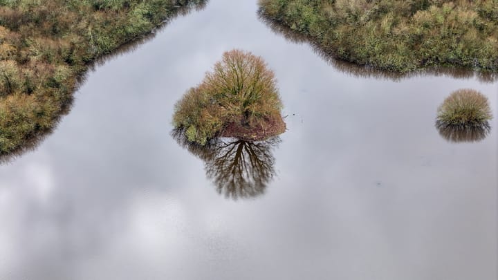 Foto 46 van Duindijk 7